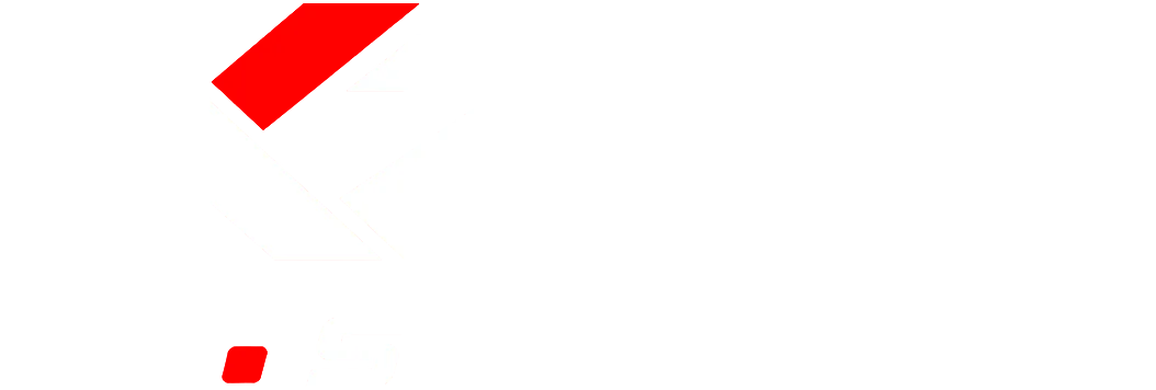 xzvl.store